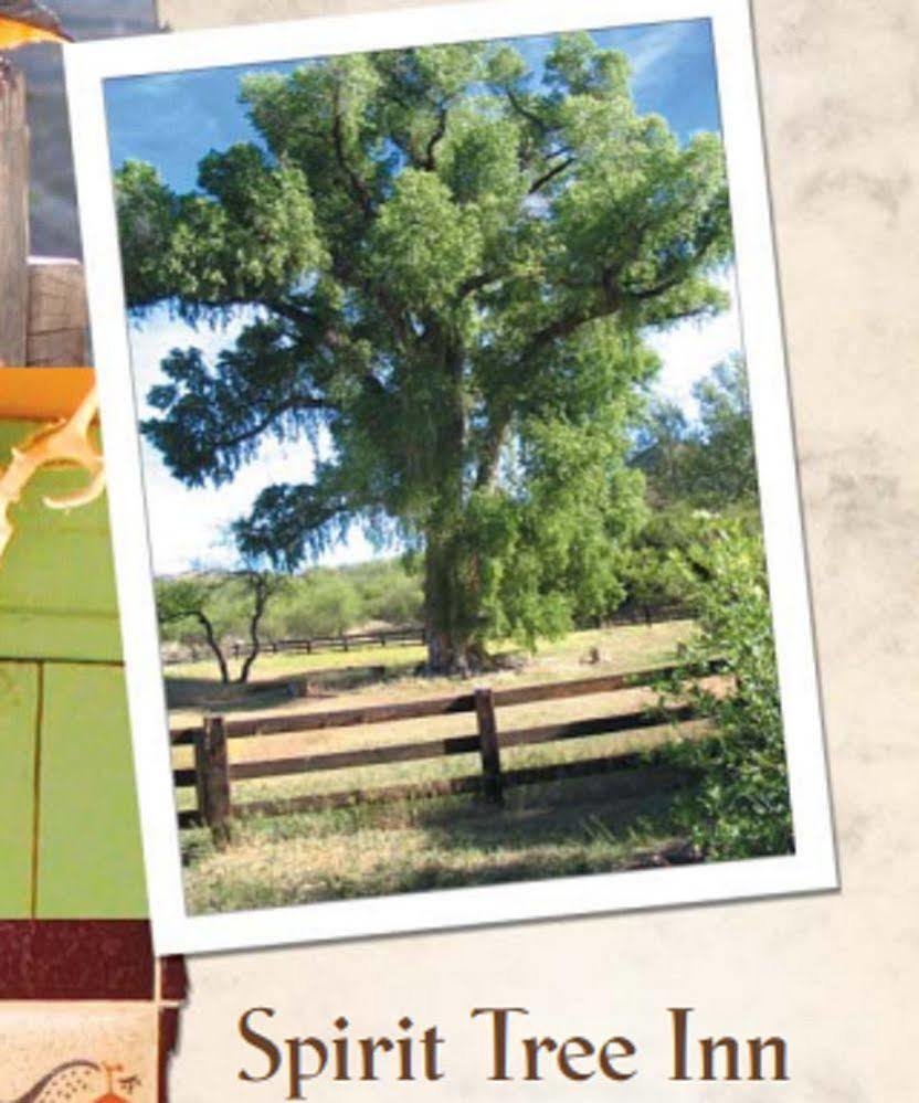 Spirit Tree Inn B&B Patagonia Dış mekan fotoğraf