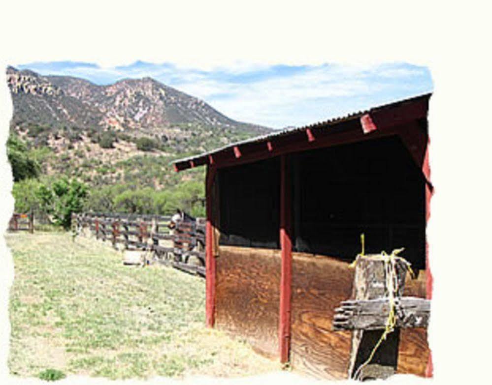Spirit Tree Inn B&B Patagonia Dış mekan fotoğraf